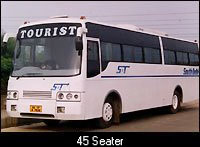 delhi  bus services